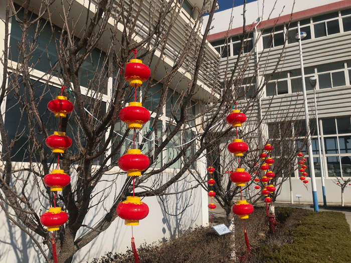 烟台拼搏体育-拼搏(中国)
化工恭祝大家2021牛年行大运